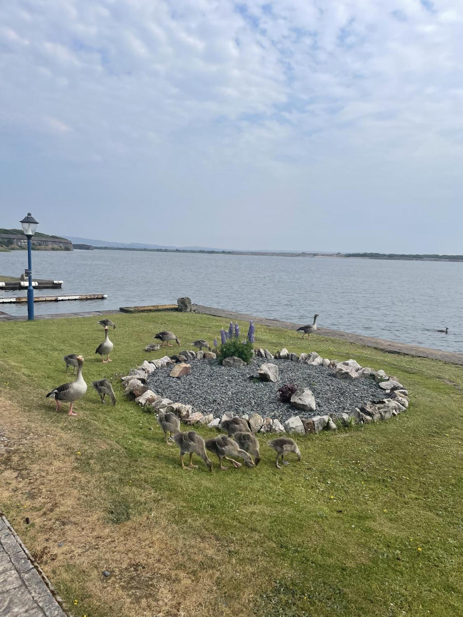Lake View 92 ミロム エクステリア 写真